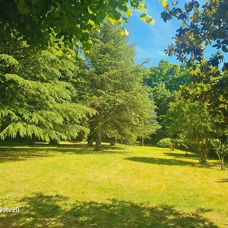 公寓 Appartement convivial à Uzès 85 m² avec terrasse_2 *